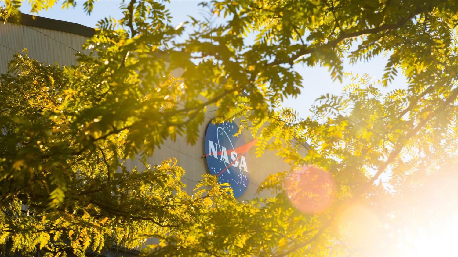  NASA Sign inside a gap in trees